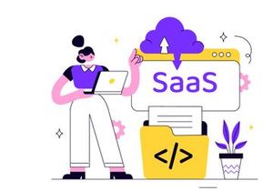 10 SaaS Vector Illustration