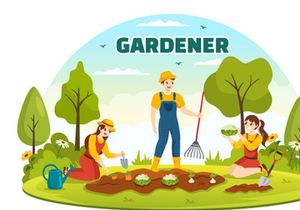 15 Summer Gardener Vector Illustration