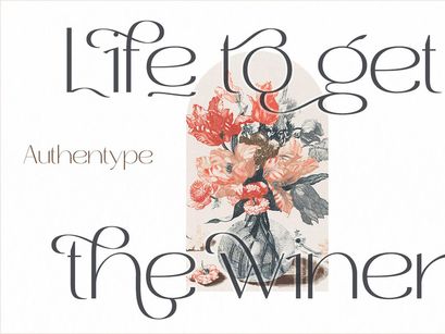 Roses Bolero Elegant Sans Serif