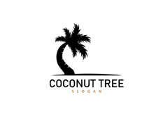 Coconut Tree Logo, Palm Tree Plant Vector