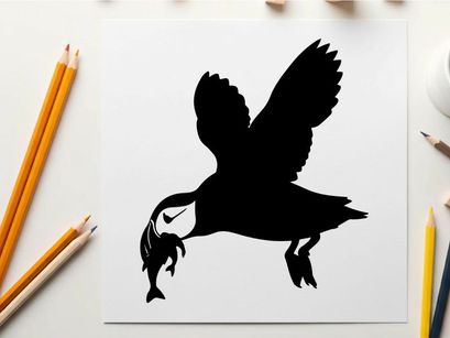 Silhouette of an eagle catching a fish in mid air