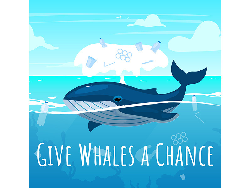 Save whales social media post mockup