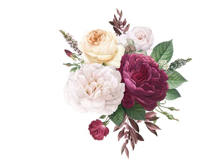 Vector Flower Watercolor Illustration