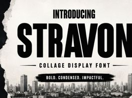STRAVON preview picture