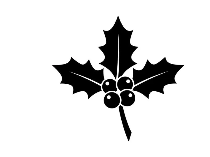 Stylized Christmas Holly Leaf and Berries Illustration for Holiday Decor