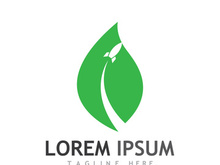 Natural green leaf logo design.