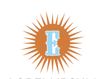 Sun logo preview picture