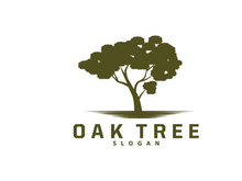 Oak Tree Logo, Nature Tree Plant Vector, Minimalist Simple Design