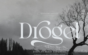 Drogel | Display Serif Font