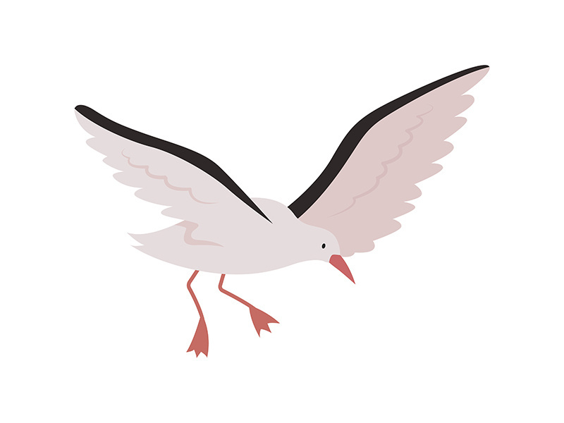 Flying seagull semi flat color vector character