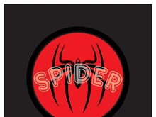 Spider logo icon design vector template