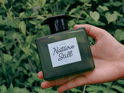 Averty Meadow | Monoline Script