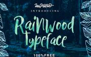Rainwood Cover Preview Dribbblr
