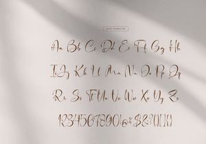 Fortune Messenger | Handwritten Script