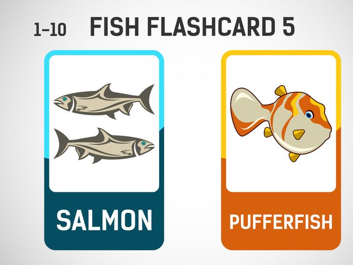 Fish flashcards for kids. Educational cards for preschool. Printable vector illustration