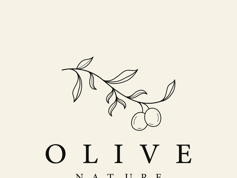 Hand drawn Botanical logo,leaf and natural olive fruit .Herbal, olive oil,cosmetic or beauty.