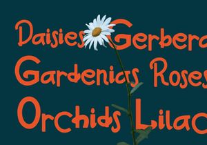 Lylac - Display Typeface