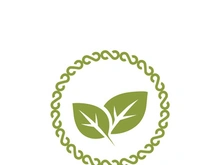 Leaf logo