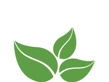 Logos of green tree leaf ecology nature element vector