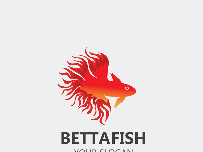 Betta fish modern logo style design vector image illustration
