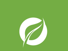 Leaf logo green nature vector image