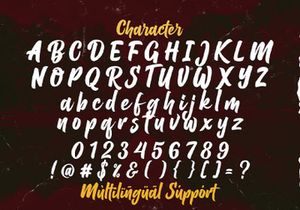 Balhgi Rizetons - Bold Script Font