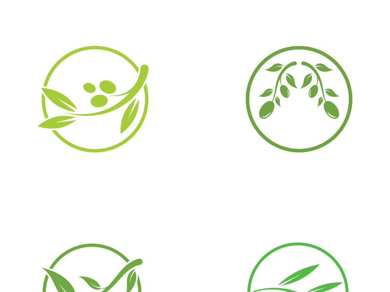 Branched olive fruit logo with creative idea.