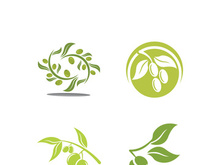 Extra virgin olive oil logo icon design vector illustration