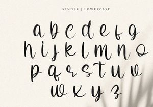 Kinder - Brush Script Font
