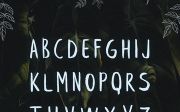 Beautify your text with leafy free brush font | EpicPxls