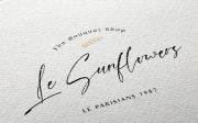 Cinta Sehatti - Calligraphy Script Font