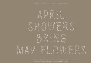 Shine - Decorative Display Font
