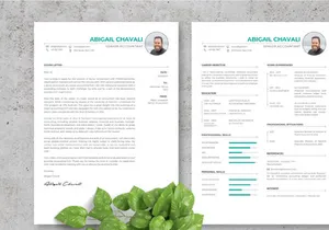 Elegant CV Resume Template - Senior Accounting