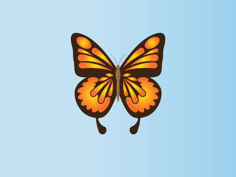 Butterfly logo design