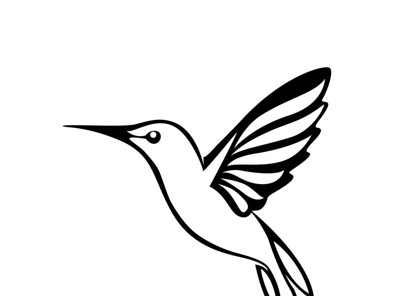 Black and white outline of a hummingbird.