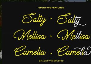 Cauloid | Monoline Script