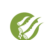 Aloe Vera logo icon design symbol beauty skin care