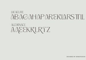 Tarekah | Modern Serif Font