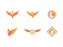Falcon Logo Template vector