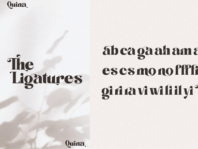 Quina Beauty Bold Serif