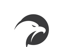 Eagle Logo Vector  Creative eagle icon Template illustration