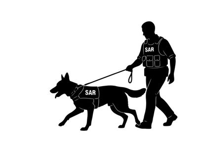 Silhouette of a man walking a search and rescue dog