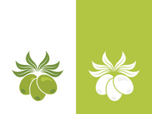 Extra virgin olive oil logo icon design vector illustration