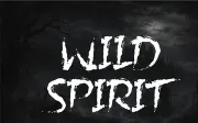 Morzeth – Horror Brush Display Font