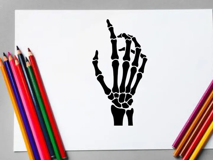 Detailed Skeleton Hand Illustration for Medical or Artistic Use