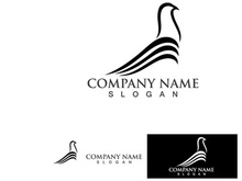 Pigeon Bird Logo Vector Icon