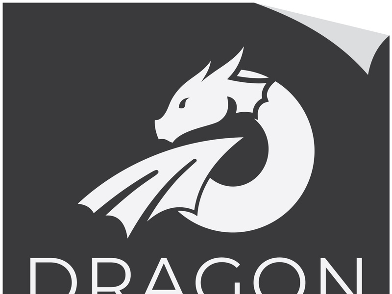 Dragon logo art illustration
