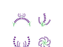 Fresh lavender flower logo vector flat design