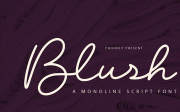 Blush - Script Font