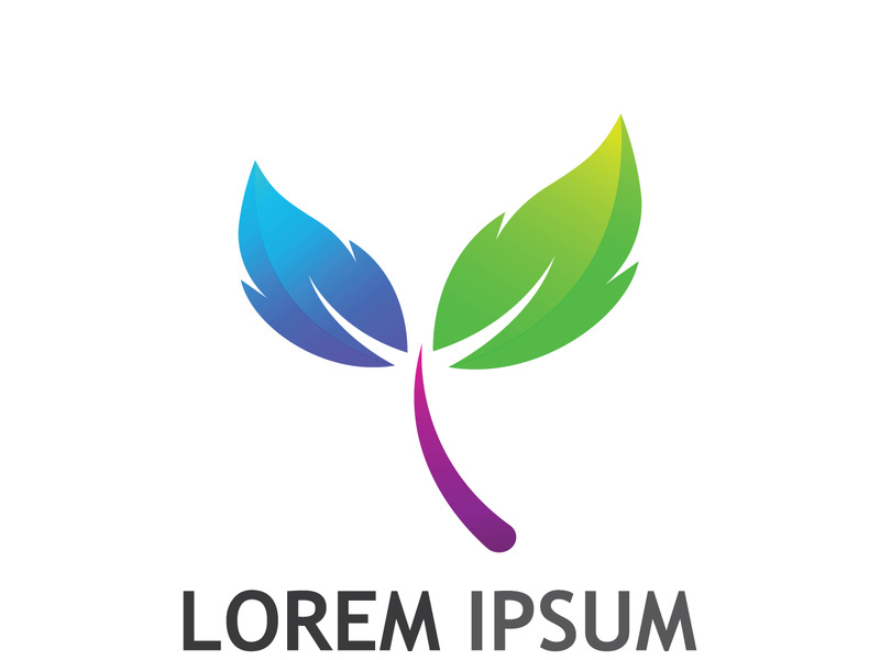 Colorful natural leaf logo design.